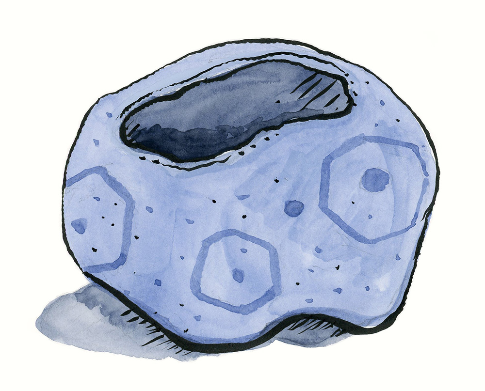 ceramic pot number 1